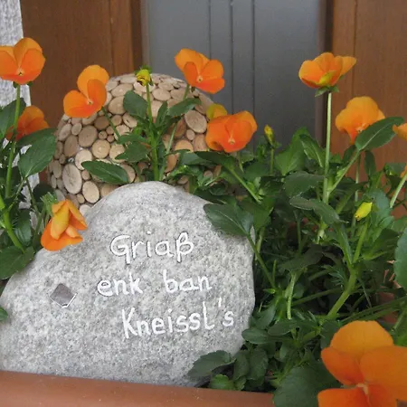 Ban Kneissl's