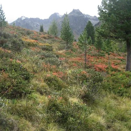 Ban Kneissl's Apartmán Umhausen